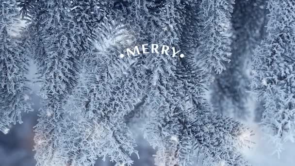 Escritura a mano blanco Feliz Navidad animación caligrafía letras texto sobre fondo de ramas de abeto nevado Para el vídeo Tarjeta de felicitación. Sensación feliz — Vídeos de Stock