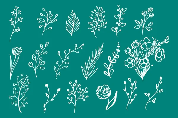 Mão desenhado elementos florais vintage flores folhas ramos plantas decorativas para design fundo convites cartões logotipos flayers scrapbooking etc, ilustração Vector —  Vetores de Stock