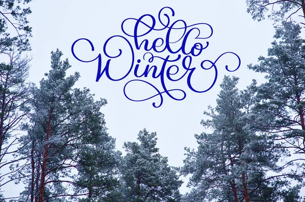 Hello Winter calligraphy text on a greeting card with a snow-covered forest of Christmas trees