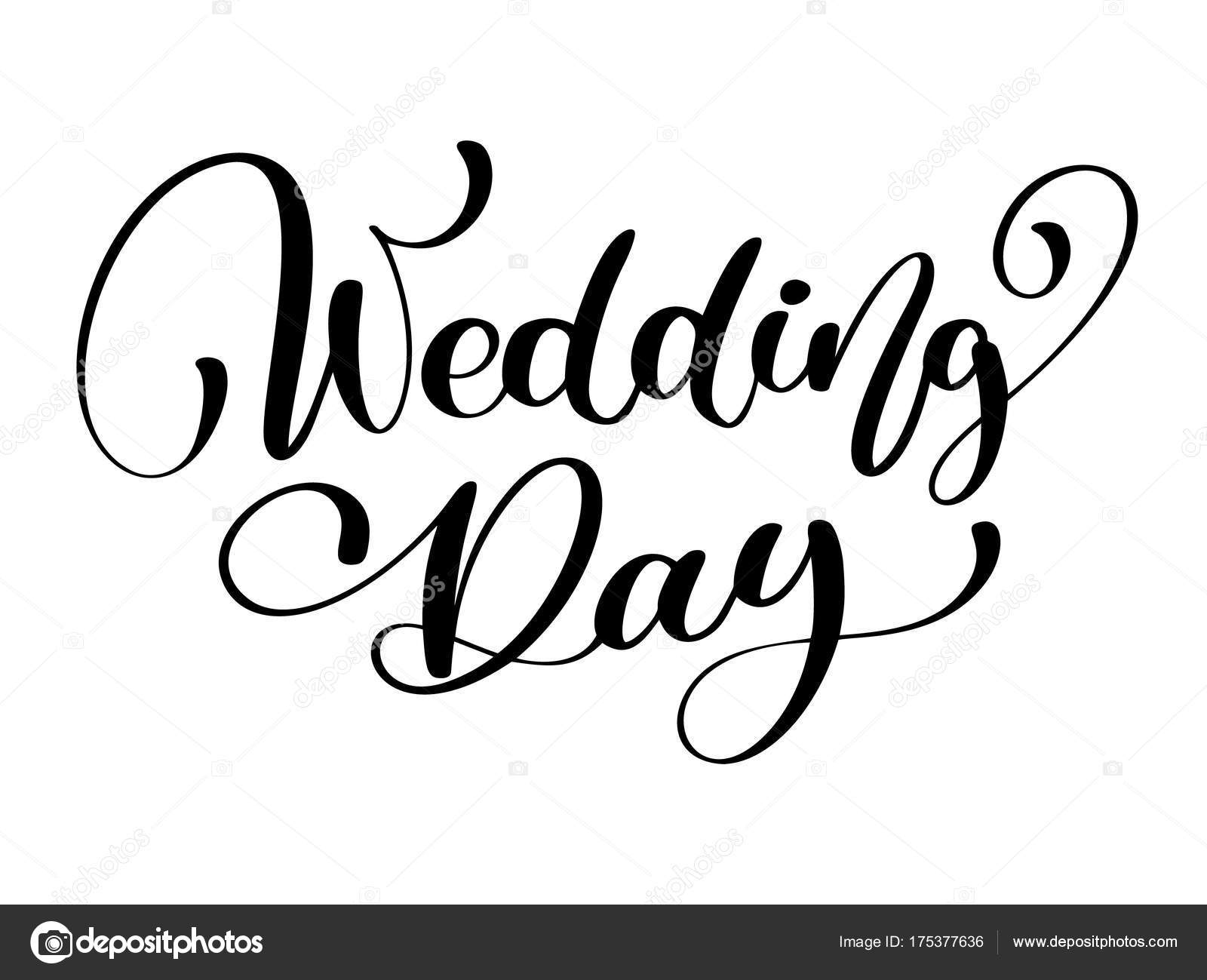 Download Wedding day vector text on white background. Calligraphy ...