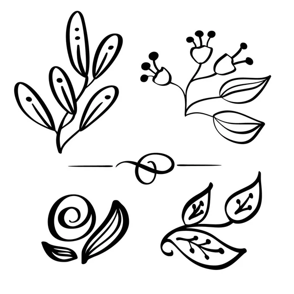 Набор ручной работы Векторный рисунок и эскиз ветви диких цветов на белом фоне, для ботанического логотипа — стоковый вектор