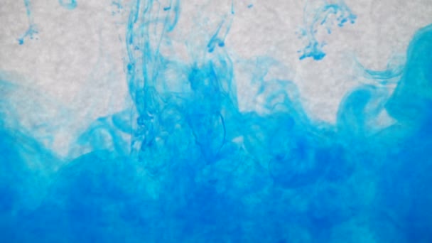 물에 파란색 잉크입니다. 창의적인 슬로우 모션입니다. 흰색 바탕에 — 비디오