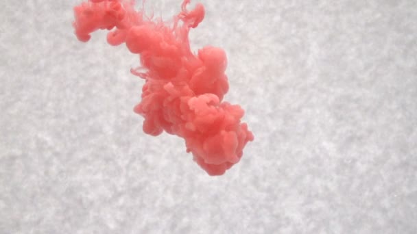 Red ink in water. Creative slow motion. On a white background — Stock Video