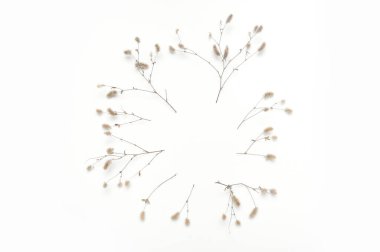 Beyaz arka plan üzerinde metin için yer ile izole sonbahar bitkileri. düz yatıyordu, üst görünüm yaratıcı nesneler. Şükran günü tasarımı için öğeler