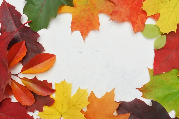 Outono folhas moldura grinalda. Queda de elementos com lugar para o seu texto sobre fundo branco. Decoração para o projeto do dia de Ação de Graças — Fotografia de Stock