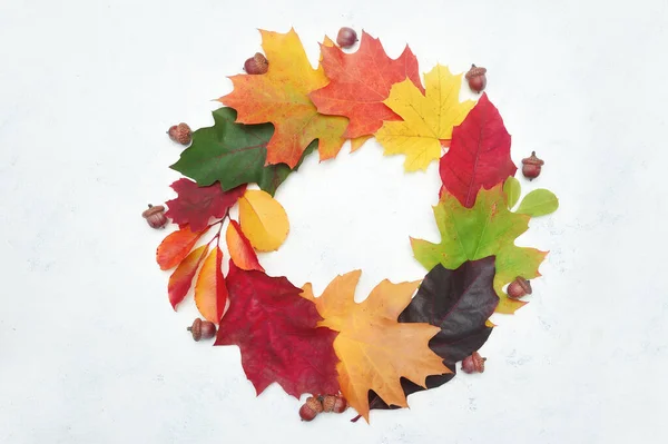 Στεφάνι από φύλλα φθινοπώρου. Πτώση στοιχείων με θέση για το κείμενό σας σε λευκό φόντο. Διακόσμηση για την Ημέρα των Ευχαριστιών — Φωτογραφία Αρχείου