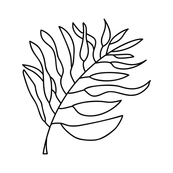 ベクトルパームエキゾチックな葉ラインアート。輪郭線のアイコン。ミニマルアートのロゴ。現代のデザイン夏 — ストックベクタ