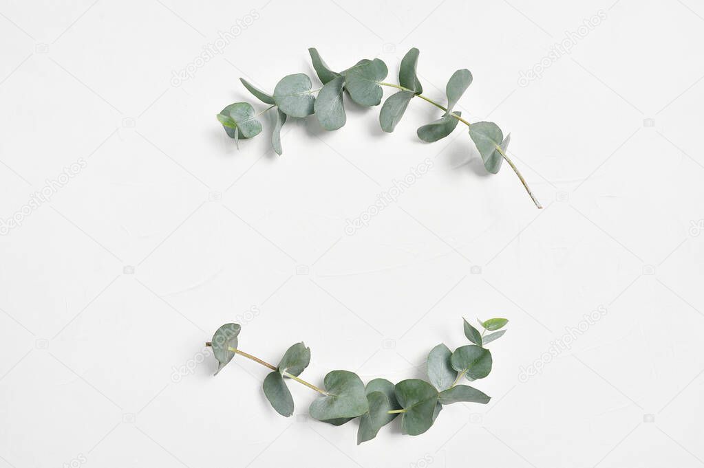 Eucalyptus leaves frame on white background with place for your text. Wreath made of leaf branches. Flat lay, top view