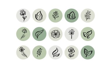 Yeşil Vurgulama Kapağı Simgesi. Doğal Hikaye 'nin altını çiz. El çizimi çiçek logosu. Fotoğrafçılar için logo şablonu, moda blogcusu, yoga stüdyosu. Monoline stili Herb. Botanik Çiçek Çizimleri