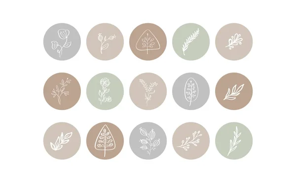 Vurgulama Kapağı Simgesi. Doğal Hikaye 'nin altını çiz. El çizimi çiçek logosu. Fotoğrafçılar için logo şablonu, moda blogcusu, yoga stüdyosu. Monoline stili Herb. Botanik Çiçek Çizimleri