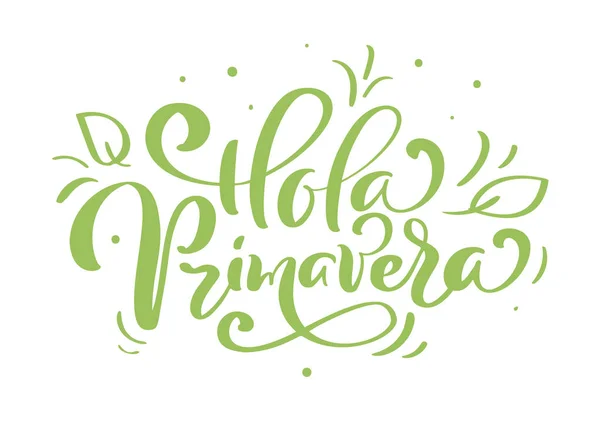 Ручное написание Hola primavera на испанском языке. Иллюстрация вектора Hello Spring. Весенние зеленые листья и открытка с каллиграфией — стоковый вектор