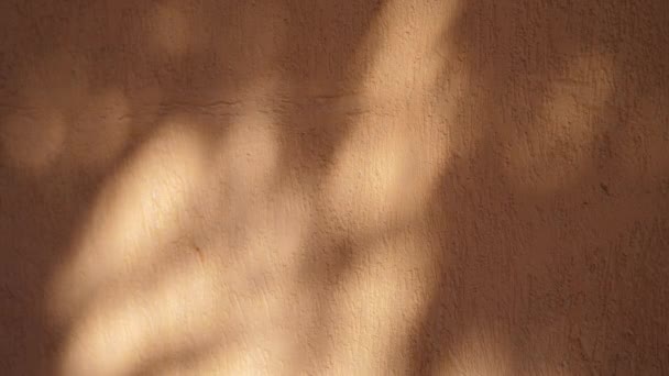 Абстрактна тінь листя від раннього ранкового сонячного світла, що світиться на внутрішній оранжевій стіні, 4k відео в Проресі. На стіні висить тінь листя. — стокове відео