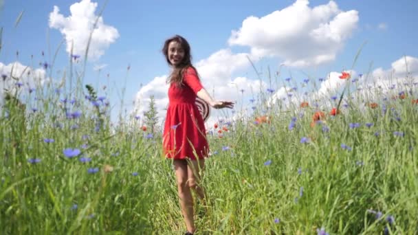 Boldog fiatal nő piros ruhában és nagy kalapban Élvezi a természetet. Lassú mozgás Hd videó Szépség Lány a szabadban sétál a mák területen. Szabadság koncepció. Szépséglány az ég és a nap felett — Stock videók