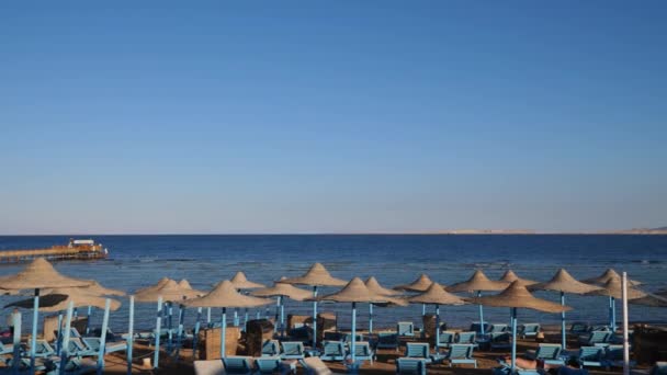 Egipto, Playa con paraguas en el Mar Rojo cerca del Arrecife de Coral. Resort en la costa del Mar Rojo. Playa rocosa en una bahía. La costa con arrecifes de coral y olas. Vista panorámica — Vídeo de stock