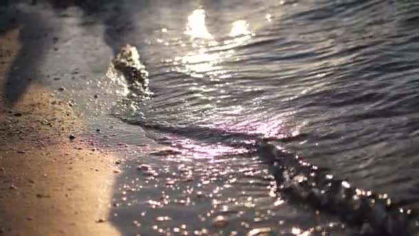 Fotografia cinematográfica de conchas numa praia de areia limpa. Full HD vídeo 1920x1080 movimento — Vídeo de Stock