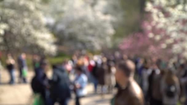 快乐的人们在春天的公园里散步 一群快乐的朋友要到户外野餐 模糊视频运动4K 3840X2160 — 图库视频影像