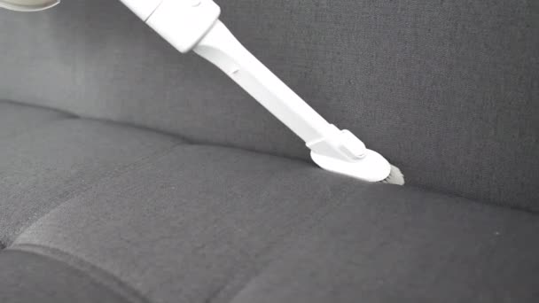 Daire Ofis Temizliği Kavramı Kuru Temizleme Işçisi Evdeki Kanepenin Pisliğini — Stok video