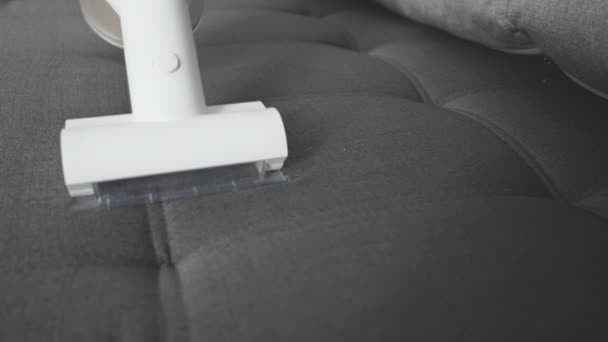 Daire Ofis Temizliği Kavramı Kuru Temizleme Işçisi Evdeki Kanepenin Pisliğini — Stok video