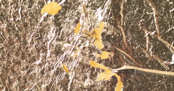 Feuille d'or jaune brillant fond texture abstraite. Vidéo 4k 4096x2160 — Video