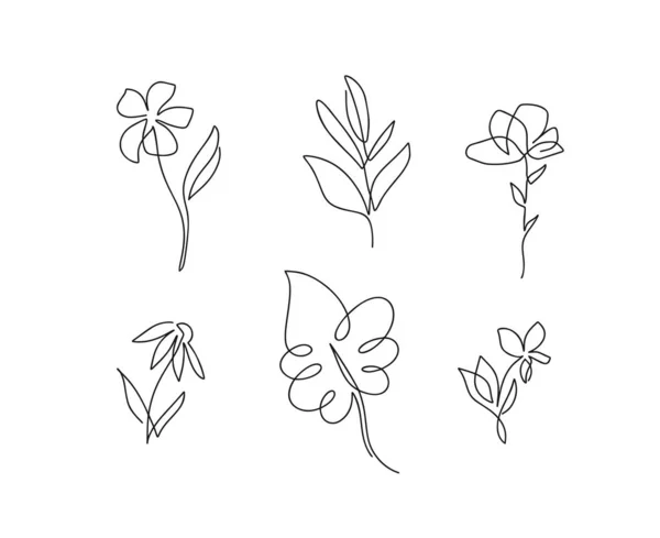 Bir dizi çiçek vektör bir çizgi sanat logosu. Monolin çizen minimalist hatlar. Pankart, kitap tasarımı, web illüstrasyonu için kesintisiz satır çizimi — Stok Vektör