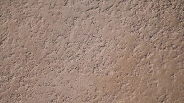 Grunge mur de fond orange foncé de pierre vintage pour toile de fond ou décoration avec place pour le texte. Vidéo Full HD au ralenti — Video