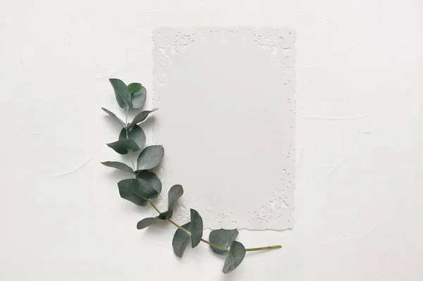 Mock up από φύλλα ευκαλύπτου και λευκό φύλλο χαρτιού με θέση για το κείμενο σε λευκό φόντο. Στεφάνι από κλαδί ευκαλύπτου. Επίπεδο lay, πάνω όψη — Φωτογραφία Αρχείου