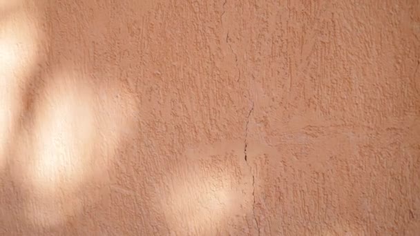 Abstract Shadow Leaves Early Morning Sunlight Shining Interior Orange Wall — 图库视频影像