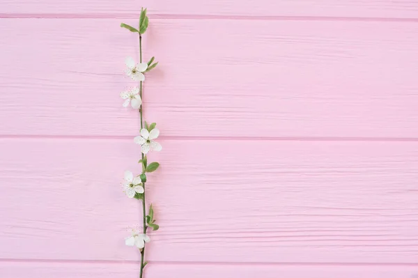 Branch White Cherry Flowers Pink Wooden Background Place Your Text — Stock Photo, Image