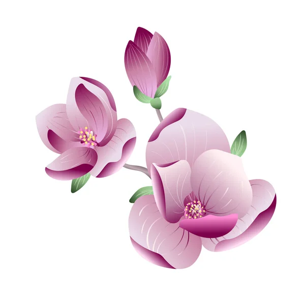 결혼식이나 인사말 카드, 현수막, 포스터 디자인을 위한 흰색 배경의 가지에 있는 분홍빛의 아름다운 균류 꽃들 이다. 봄 개념, 실제 벡터 파일 — 스톡 벡터