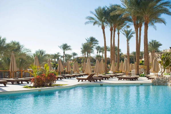 Tumbonas de verano bajo un paraguas en la playa de arena de mar piscina y palmeras en el hotel Egipto, Sharm el Sheikh, concepto de tiempo para viajar sin personas —  Fotos de Stock