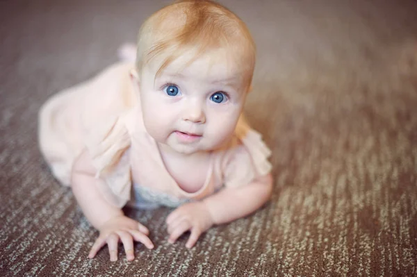 スタジオでピンクのドレスを着て甘いです幼児の女の子の肖像画 — ストック写真