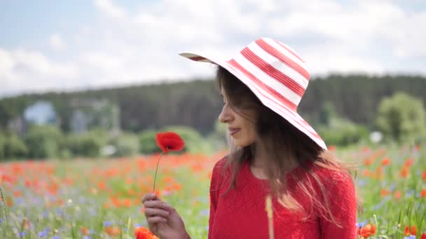 穿着红衣服、头戴大帽子的快乐的年轻女子欣赏大自然。漂亮女孩走在一片罂粟地里。自由概念。天空和阳光下的美女 — 图库视频影像