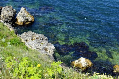 Denizdeki su. Sahil. Deniz manzarası