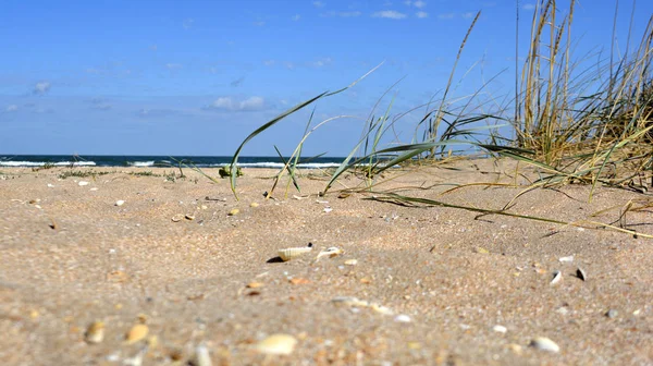 The sea shore. Crimea. Sea landscape. Travel