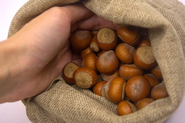 Орехи Мешке Орехи — стоковое фото