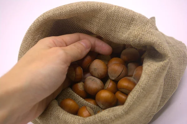 Hazelnuts Bag Nuts — Stock Photo, Image