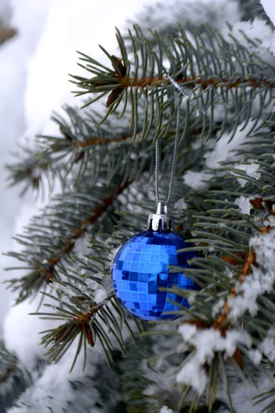 Christmas Blue Ball Hanging Fir Tree Snow — Stock Photo, Image