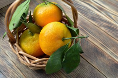 sepet içinde yapraklarla olgun mandalina