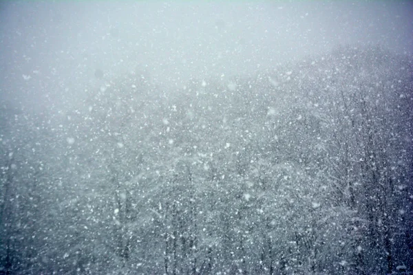 美しい冬の雪 雪の結晶が飛ぶ 冬の風合い — ストック写真