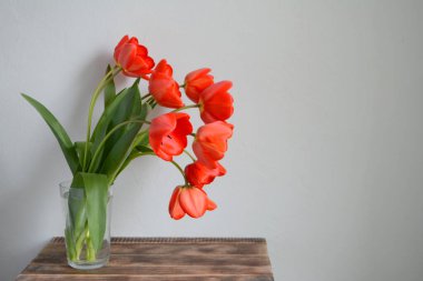 Vazoda bir buket kırmızı lale. Bahar çiçekleri. Anneler Günü, Sevgililer Günü, Uluslararası Kadınlar Günü, 8 Mart