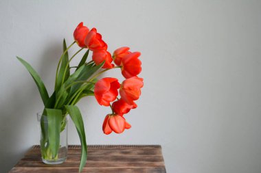 Vazoda bir buket kırmızı lale. Bahar çiçekleri. Anneler Günü, Sevgililer Günü, Uluslararası Kadınlar Günü, 8 Mart