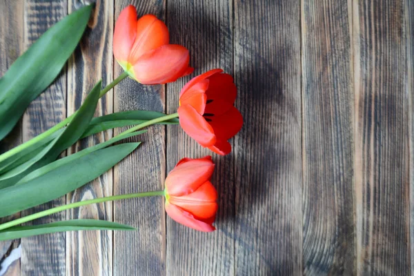 Bouquet of red tulips on a wooden background. Spring flowers. Mother\'s day, Valentine\'s day, international women\'s day, March 8
