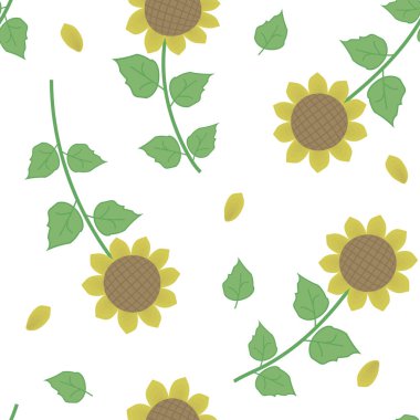 beyaz zemin üzerine yeşil yaprakları ile güneşli sarı ayçiçeği 