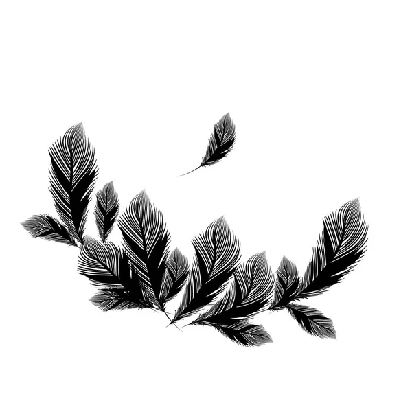 Composición en blanco y negro de las plumas de las aves vector negro en forma de contorno — Vector de stock