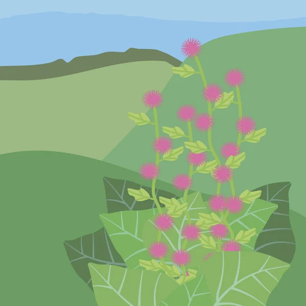 Rosa flores brillantes de rebabas con hojas verdes de bardana — Archivo Imágenes Vectoriales