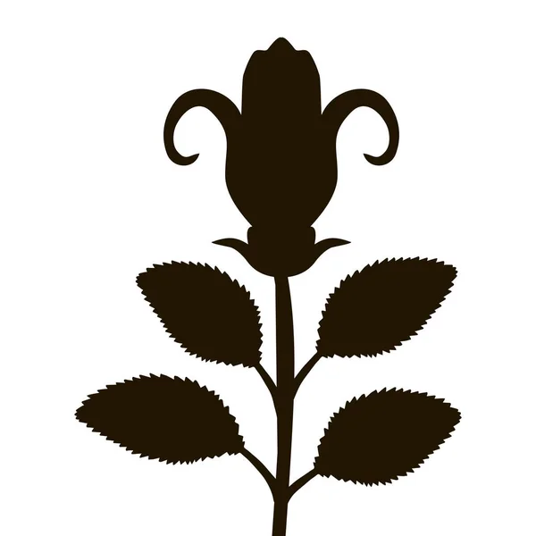 Fekete körvonal Rose levelek árnyéka elszigetelt fehér background. — Stock Vector