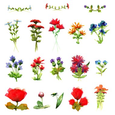 yabani çiçek buketleri güzel renkli parlak Bahçe çiçek koku suluboya boya pembe tonları Dekorasyon dekorasyon izole yaz