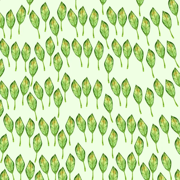 Листья повторяющиеся зеленый с желтой осенью растительность природа акварель фон изолирован на белом фоне — стоковое фото