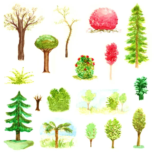 Akvarelu odstíny lesních stromů a keřů, hnědé dřevo park zahrada listy rostliny zelené jarní příroda sada izolovaný — Stock fotografie
