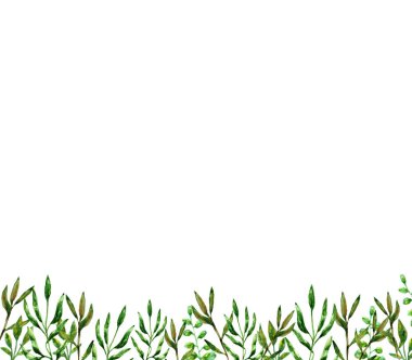 Yeşil Yaz karanlık bitki elemanları doğa süsleme dekorasyon çerçeve çizilmiş suluboya izole yaprakları beyaz arka plan karede bırakır.